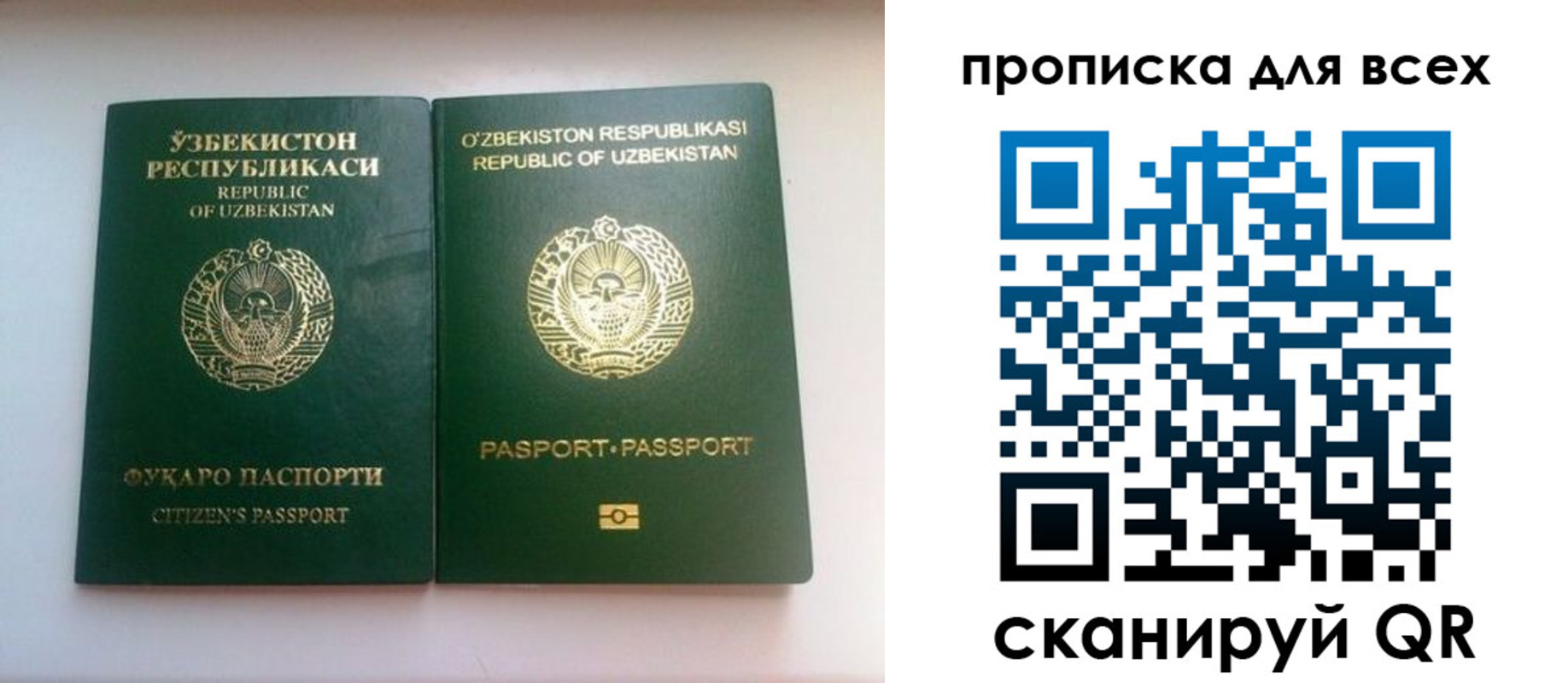 прописка для школы в России